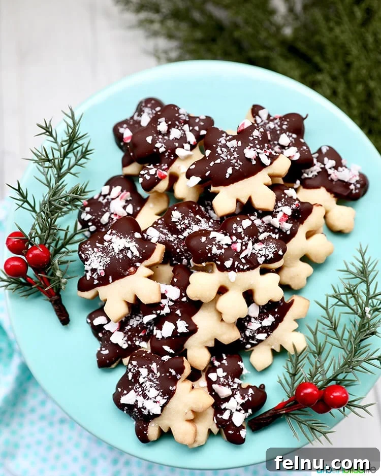 Chocolate dipped peppermint shortbread cookies arranged beautifully on a plate.