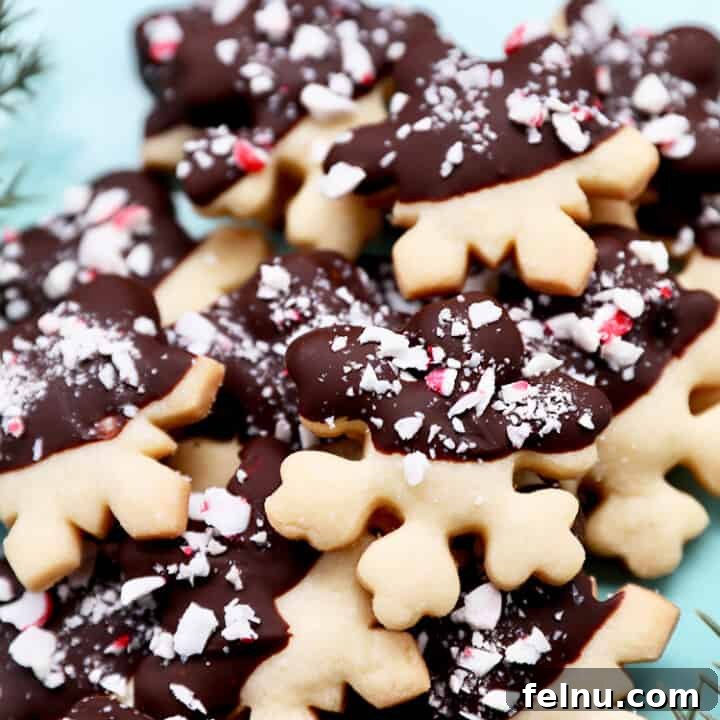 chocolate dipped peppermint shortbread cookies