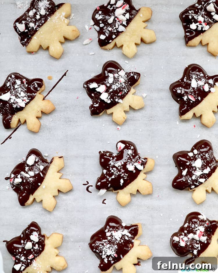Chocolate dipped peppermint shortbread cookies arranged among snowflake decorations, showcasing their festive appeal.