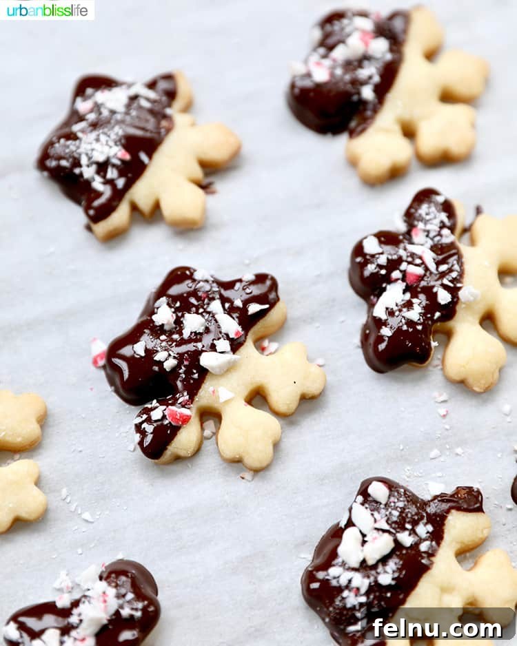 An overhead shot showing the process of dipping shortbread cookies into melted chocolate and sprinkling with peppermint candy.