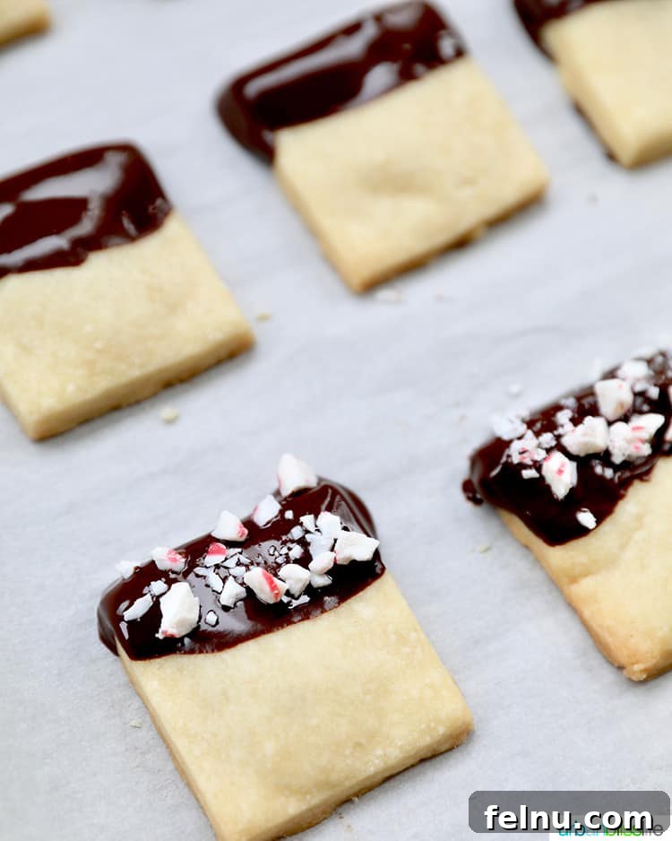 A close-up shot showcasing the detail of the chocolate and peppermint on a stack of shortbread cookies.