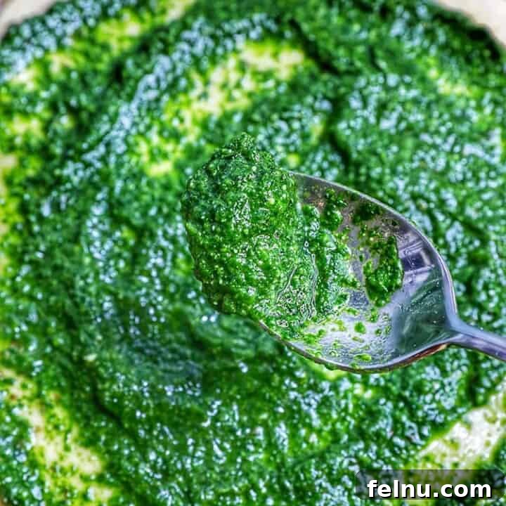 spoonful of spinach pesto sauce
