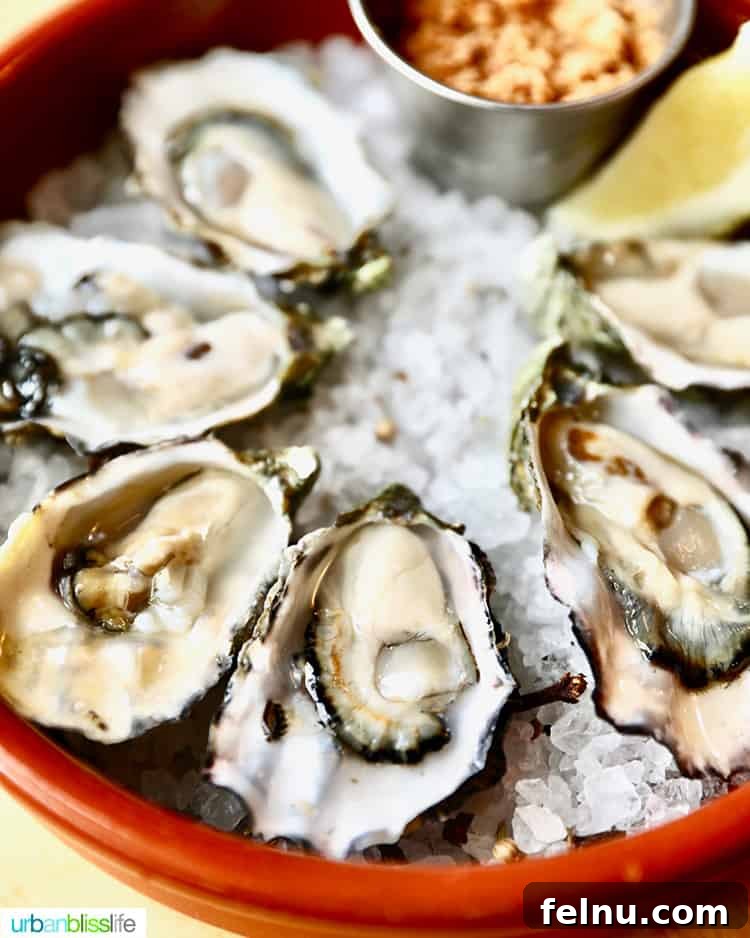 Fresh Local Oysters at Olympia Provisions.