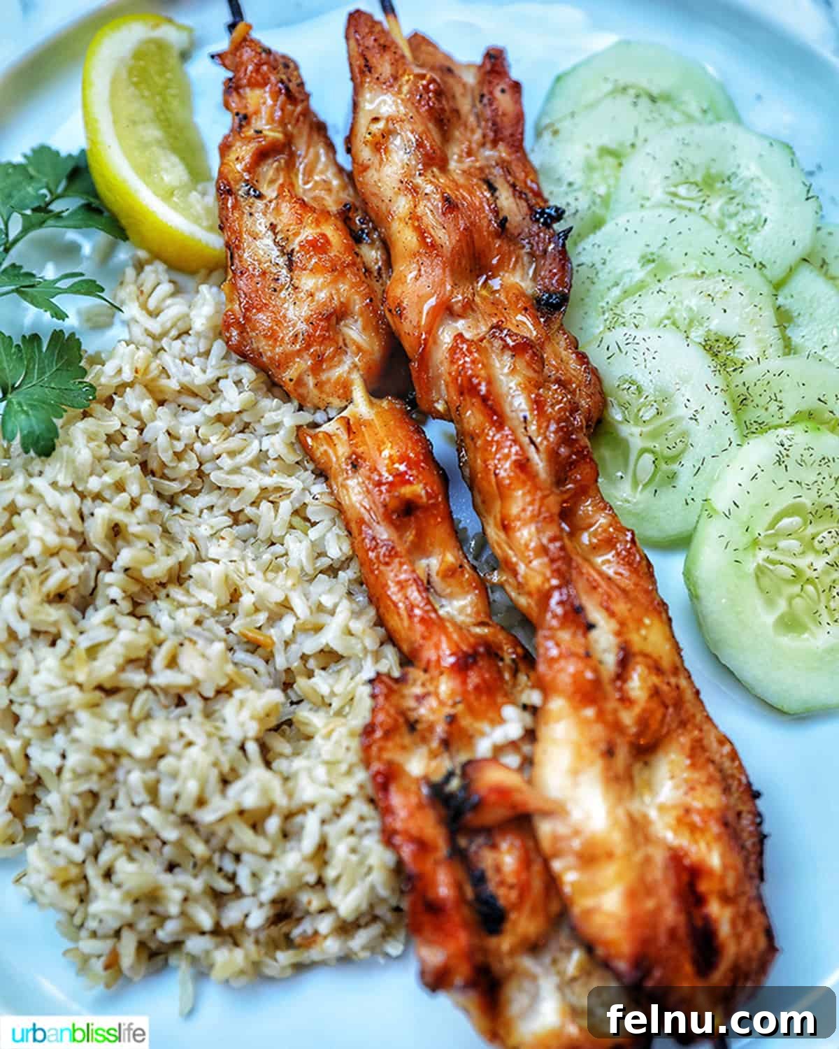 Honey Garlic Chicken Kebabs 8 Honey Garlic Chicken Skewers with Rice and Cucumber Salad