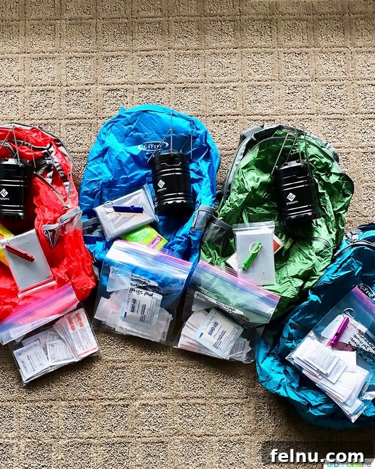 Emergency Preparedness Kit Essentials 2 Emergency Go Bags Ready for Anything