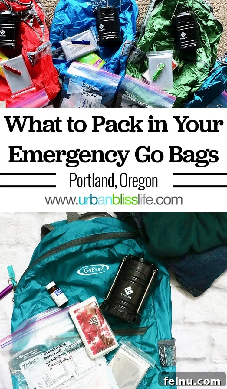 Emergency Preparedness Kit Essentials 11 Pin This Emergency Go Bag Guide