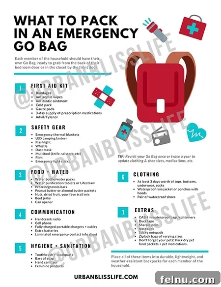 Emergency Preparedness Kit Essentials 10 Emergency Go Bag Checklist Printable