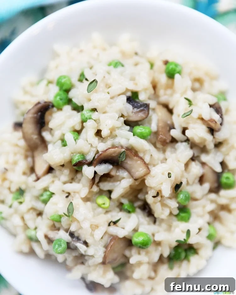 Mushroom Magic: Creamy Vegan Risotto in Minutes 2 A close-up, centered bowl of creamy Instant Pot Mushroom Risotto, showcasing its rich texture and deliciousness.