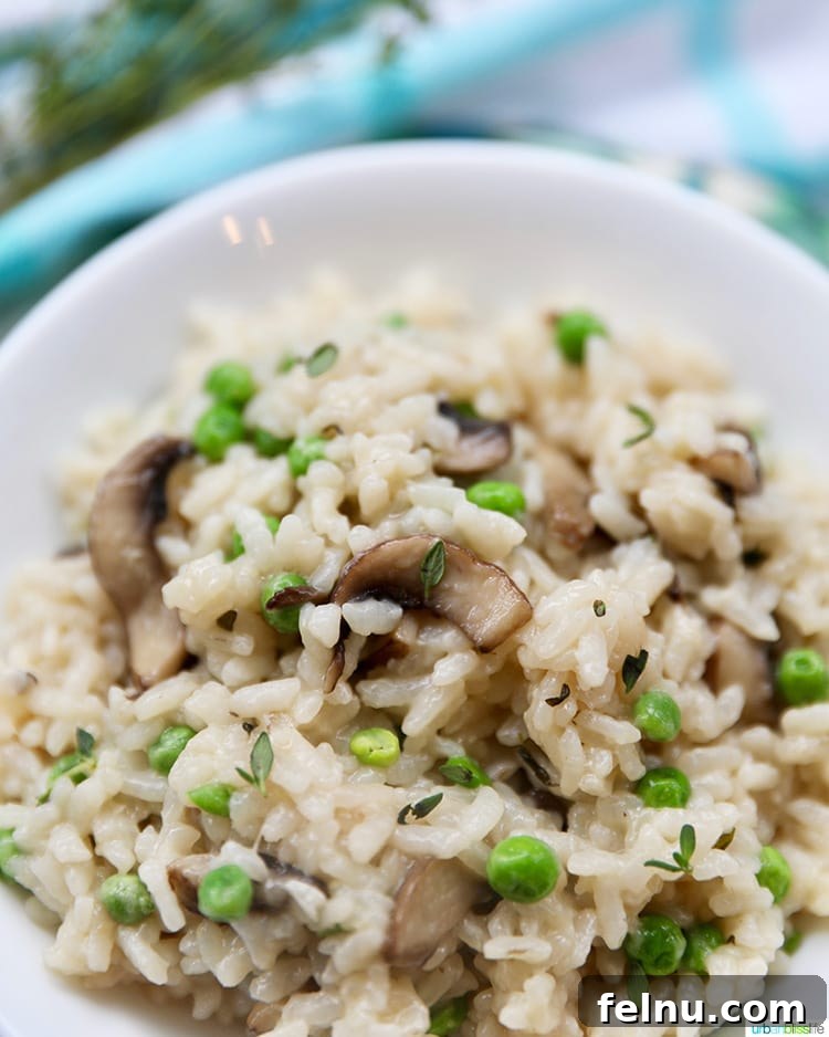Mushroom Magic: Creamy Vegan Risotto in Minutes 12 A single bowl of Instant Pot Mushroom Risotto, ready to be enjoyed.