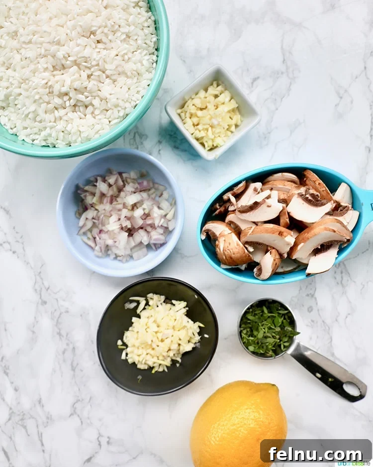 Mushroom Magic: Creamy Vegan Risotto in Minutes 4 Ingredients for Instant Pot Mushroom Risotto laid out on a counter.