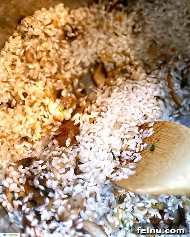 Mushroom Magic: Creamy Vegan Risotto in Minutes 8 Arborio rice being sautéed with mushrooms in an Instant Pot.