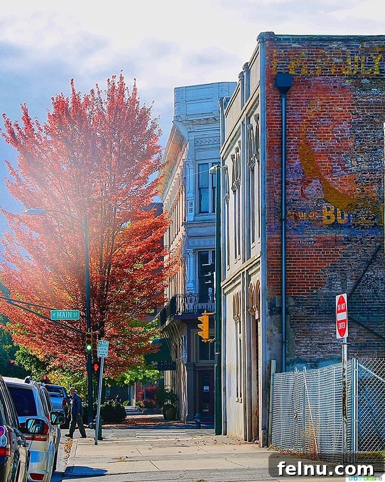 Top Walla Walla Experiences You Can't Miss 2 Downtown Walla Walla in the Fall