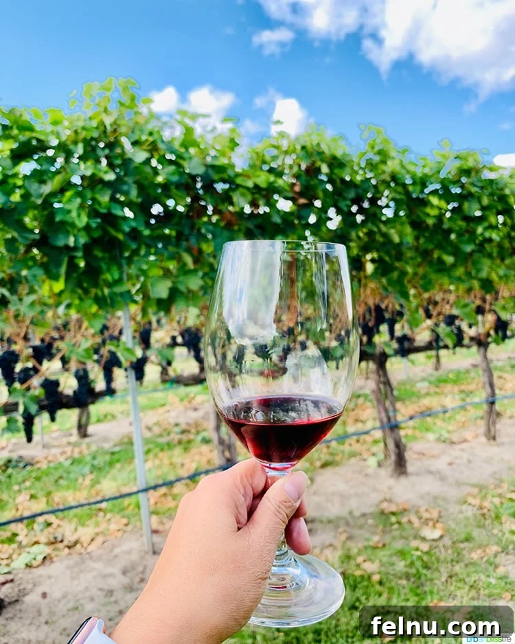 Top Walla Walla Experiences You Can't Miss 14 Red Wine Glass Walla Walla Vintner Vineyards