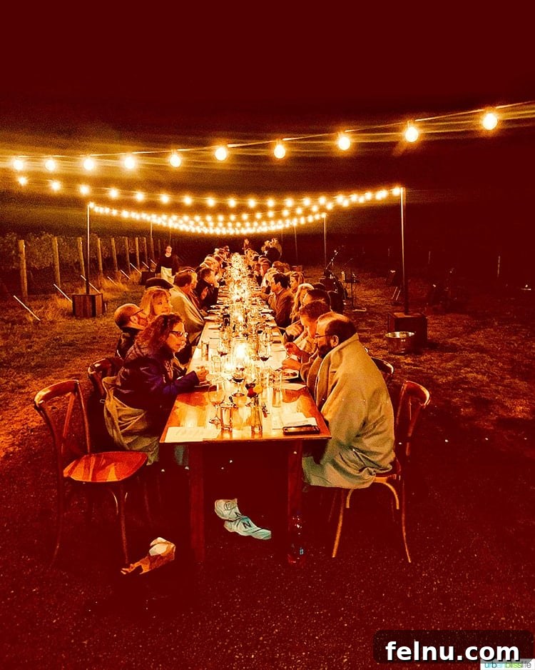 Top Walla Walla Experiences You Can't Miss 21 Dark Night at Harvest Celebration Dinner Walla Walla Vineyard