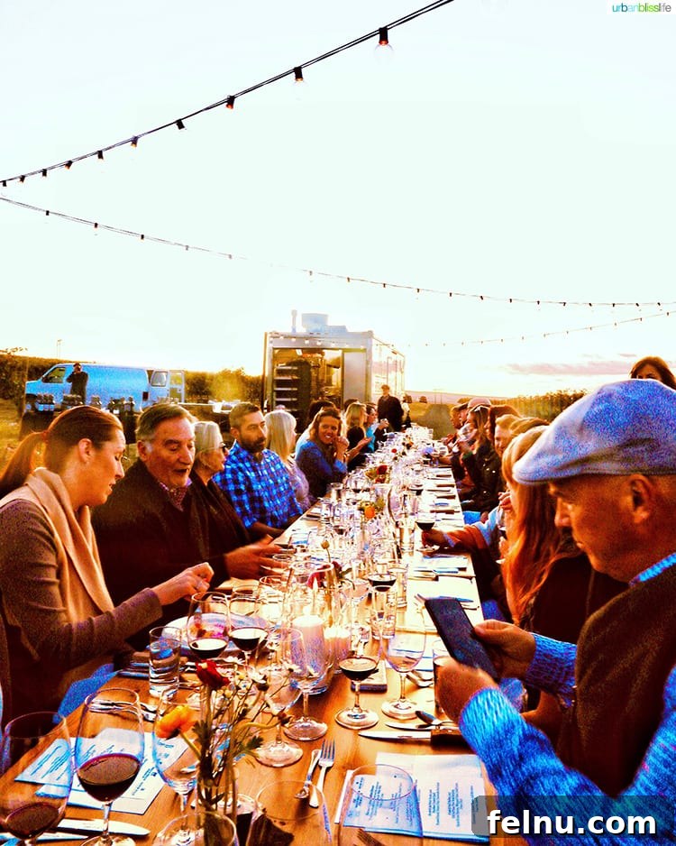 Top Walla Walla Experiences You Can't Miss 23 Harvest Celebration Dinner Walla Walla Vineyard