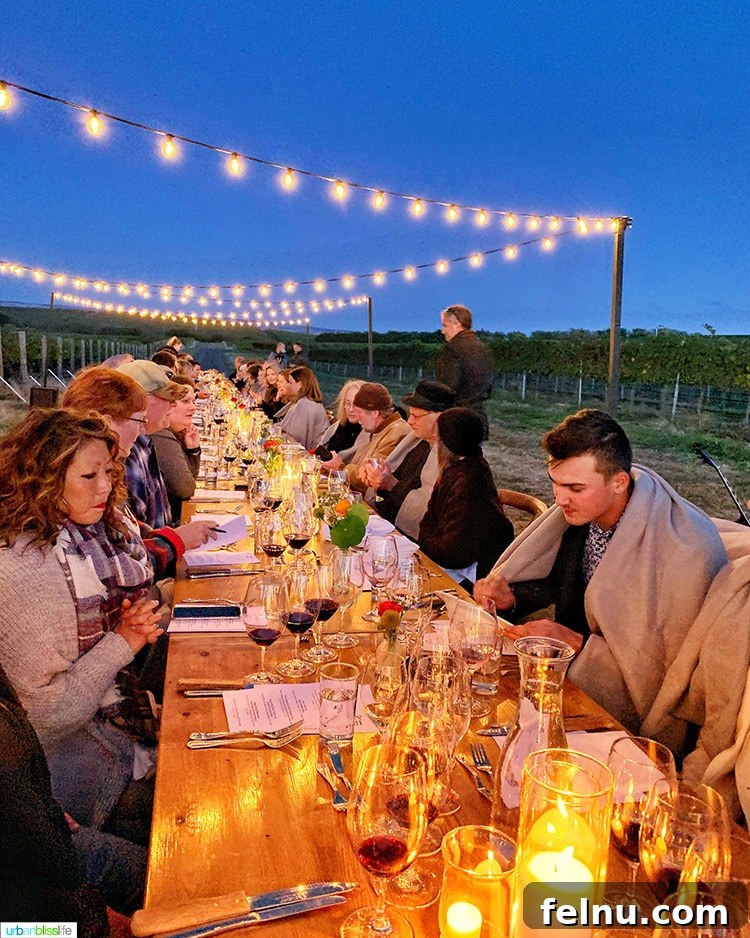 Top Walla Walla Experiences You Can't Miss 25 Sunset at Harvest Celebration Dinner Walla Walla Vineyard