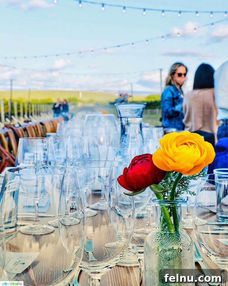 Top Walla Walla Experiences You Can't Miss 26 Table Setting at Harvest Celebration Dinner Walla Walla Vineyard