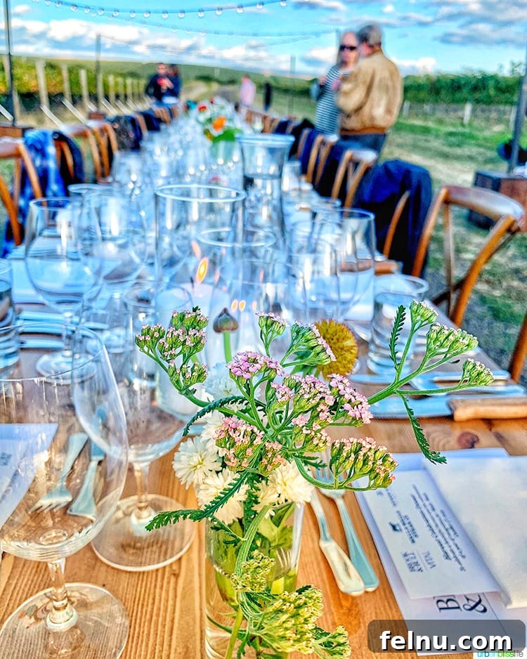 Top Walla Walla Experiences You Can't Miss 28 Table Setting at Harvest Celebration Dinner Walla Walla Vineyard
