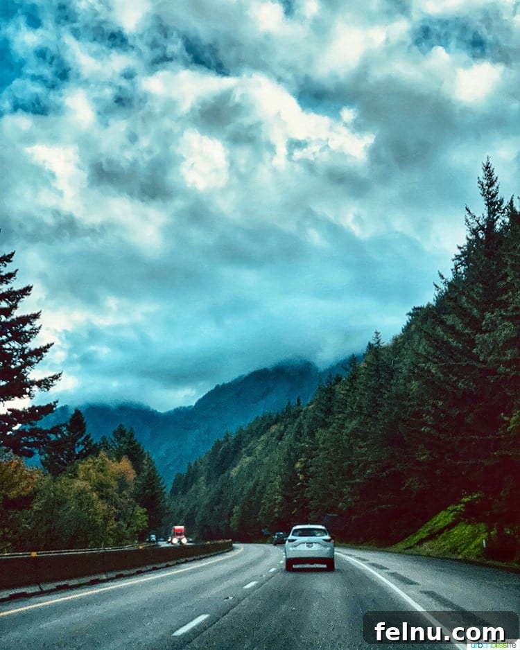 Top Walla Walla Experiences You Can't Miss 3 I-84 Road Trip Portland to Walla Walla