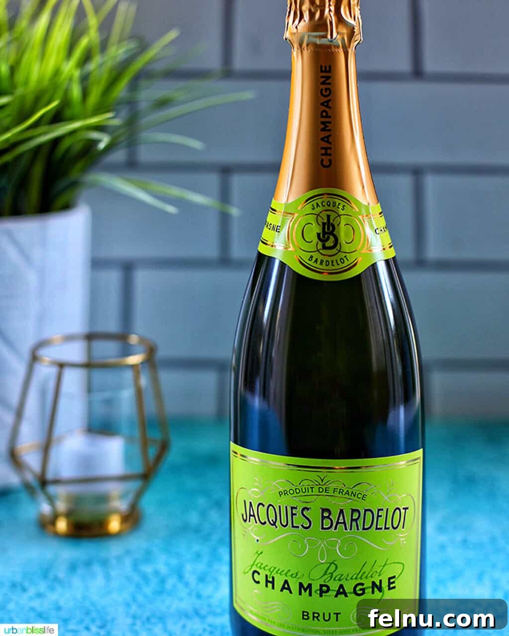 25 Romantic Valentine's Dinner Recipes for a Perfect At-Home Date Night 29 Elegant bottle of Jacques Bardelot Champagne, perfect for a romantic toast.