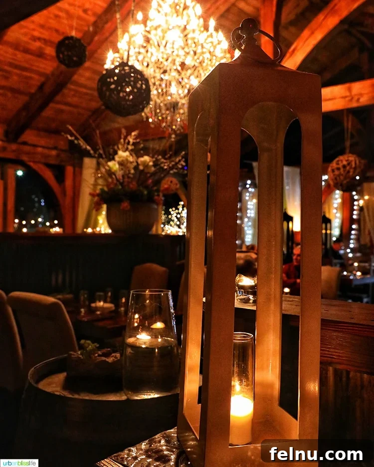 Interior Lighting at The Parrot House