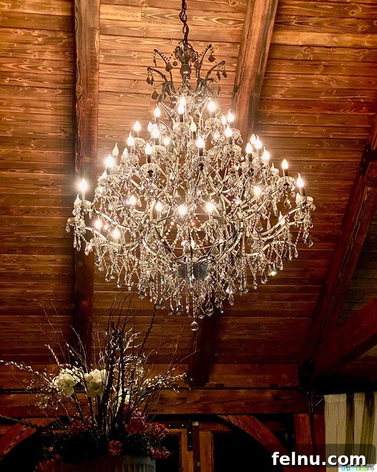 Chandelier at The Parrot House