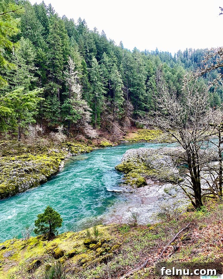 Susan Creek Falls Southern Oregon Gem 4 Vibrant Umpqua River flowing through a scenic Oregon landscape, showcasing the stunning natural beauty along the route to Susan Creek Falls
