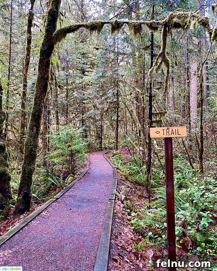 Susan Creek Falls Southern Oregon Gem 5 A clear hiking trail sign in the Umpqua Valley guides visitors toward Susan Creek Falls, promising an easy and enjoyable trek