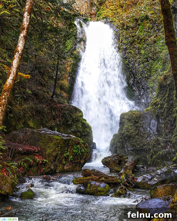 Susan Creek Falls Southern Oregon Gem 8 Susan Creek Falls, a beautiful waterfall in Southern Oregon, cascades powerfully into the creek, surrounded by verdant foliage