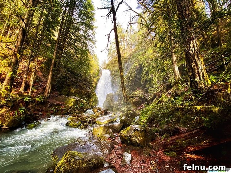 Susan Creek Falls Southern Oregon Gem 9 A wide-angle shot of Susan Creek Falls from below, capturing its full grandeur as it plunges into the creek amidst lush Oregon greenery