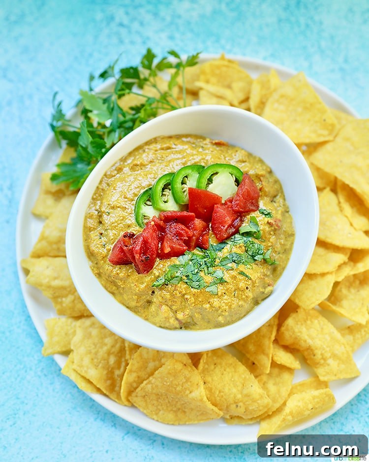 Vegan Cashew Cheese Dip 2 Dairy-Free Queso Dip with chips