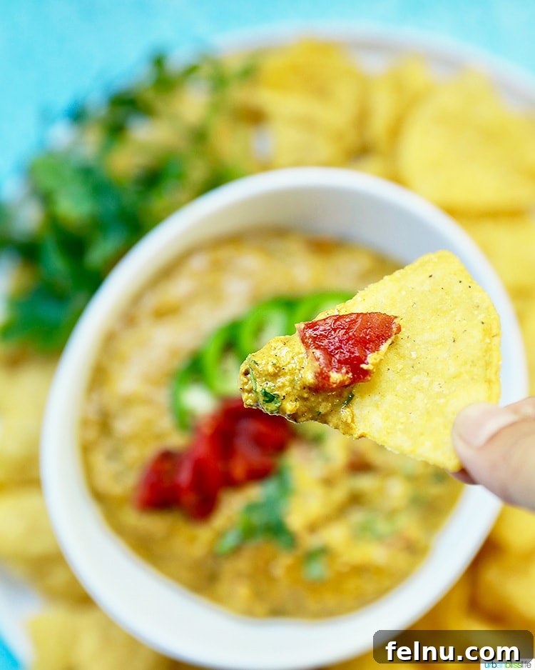 Vegan Cashew Cheese Dip 5 Chip scooped up cashew cheese dip
