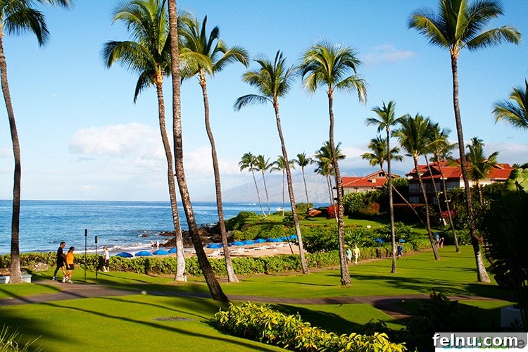 Fairmont Kea Lani: Maui's Premier Island Escape 4 Lush green landscapes surrounding Fairmont Kea Lani resort in Maui