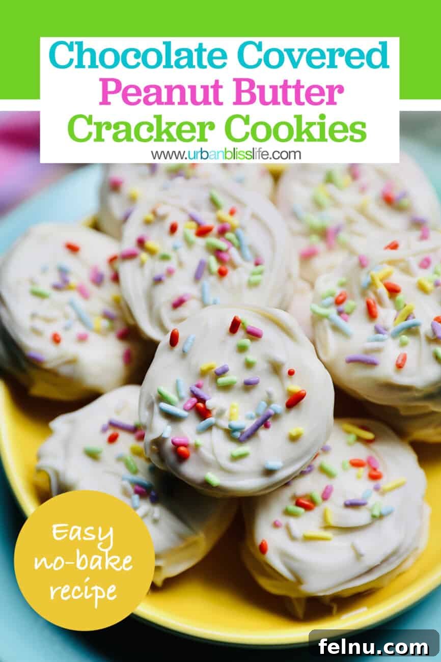 Chocolate Covered Peanut Butter Ritz Bites 10 Ritz Cracker Cookies recipe for pinterest