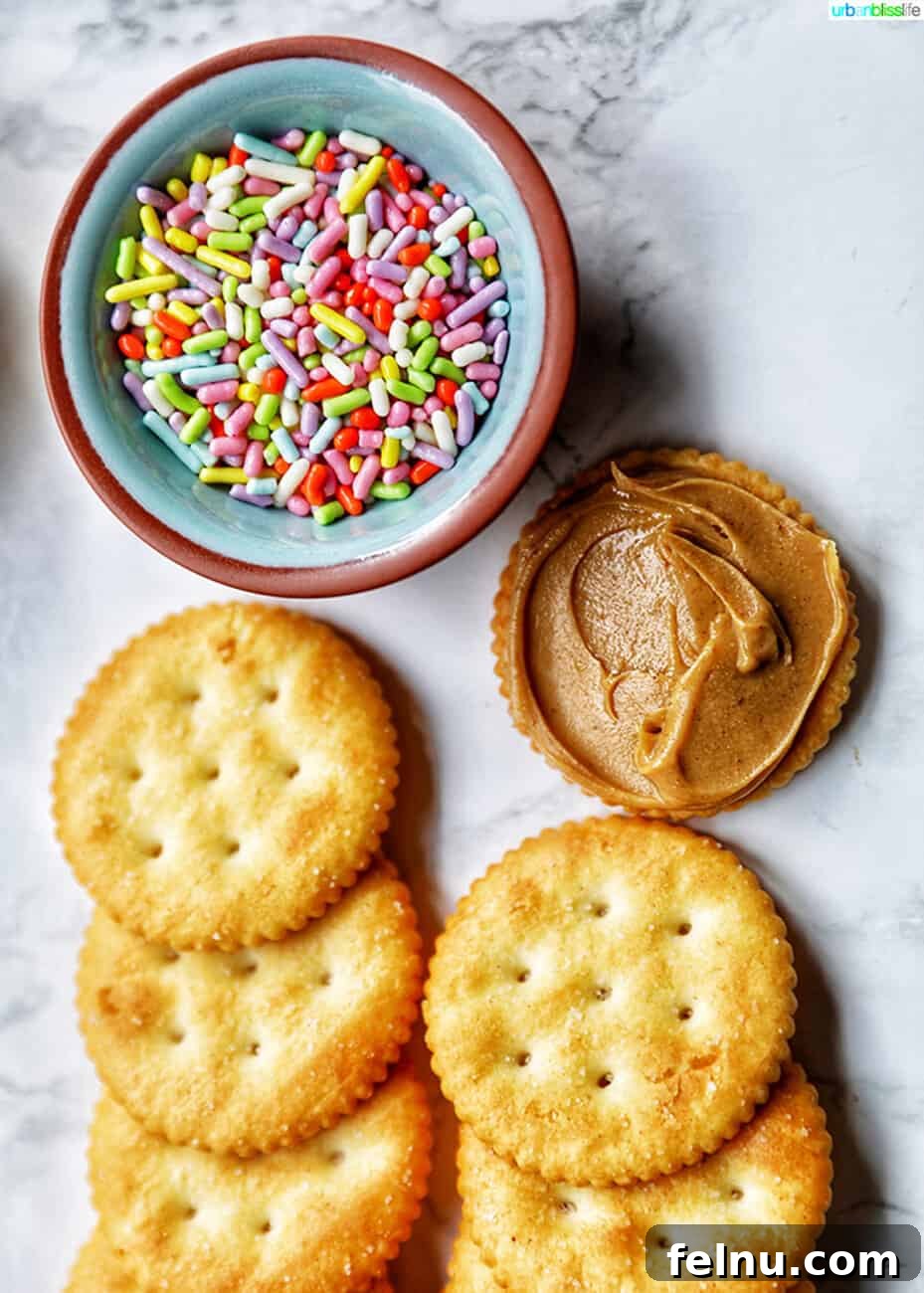 Chocolate Covered Peanut Butter Ritz Bites 3 Ingredients for Ritz cracker cookies