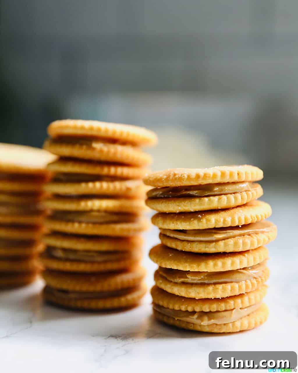 Chocolate Covered Peanut Butter Ritz Bites 6 Stacks of Ritz cracker cookies