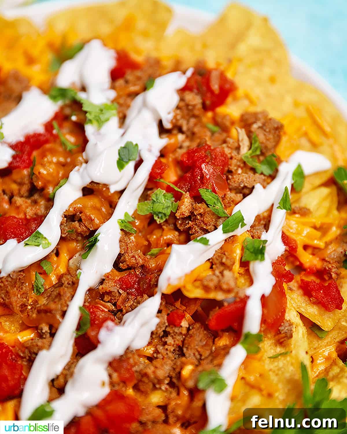 Instant Pot Fiesta Meat 5 Close up of nachos, a delicious way to use Instant Pot Taco Meat