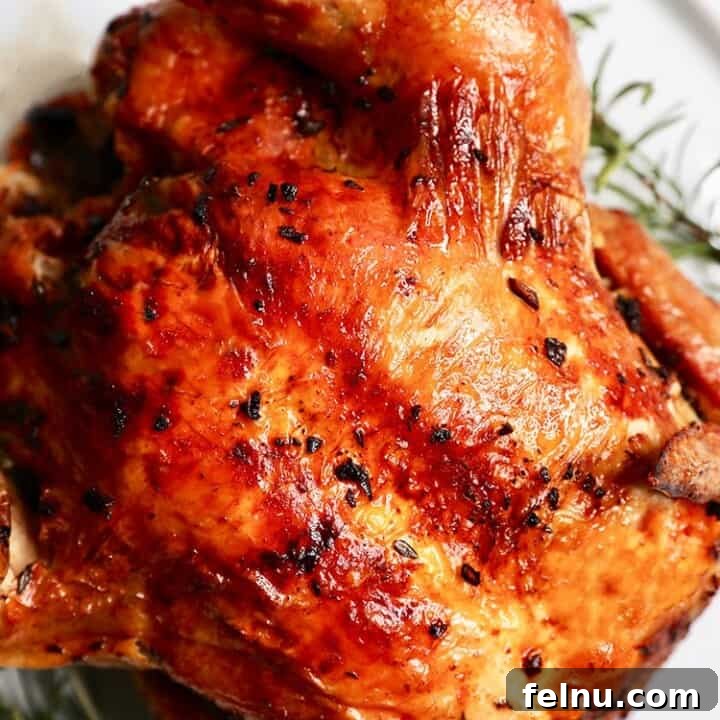 Air Fryer Rotisserie Chicken
