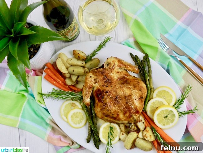 The Ultimate Air Fryer Roasted Chicken 8 Wine pairing suggestions for Roast Chicken