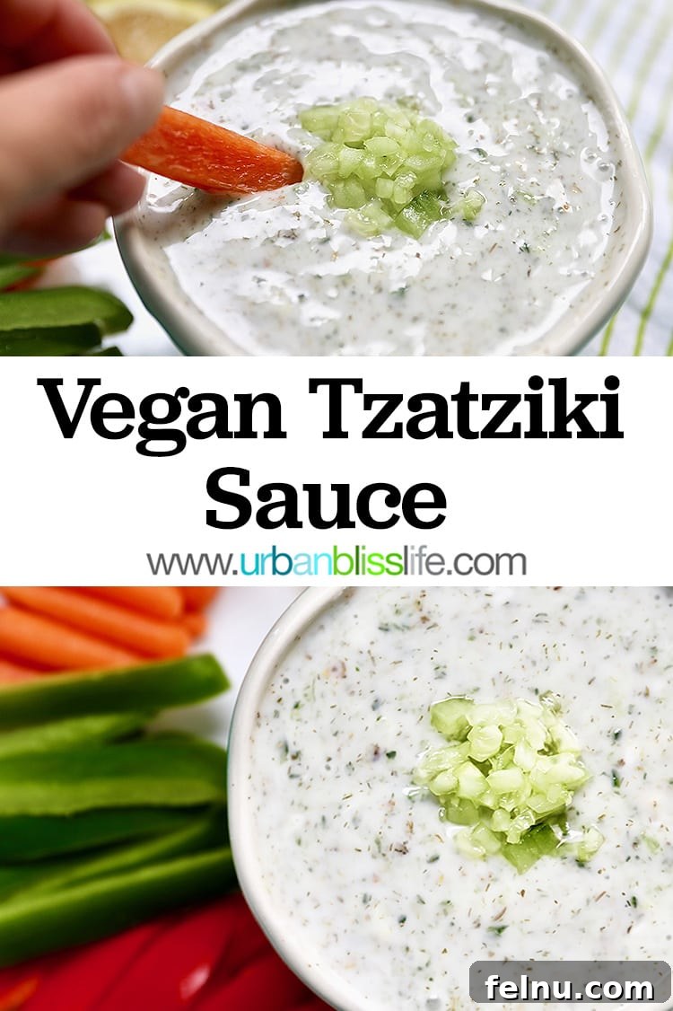 Zesty Vegan Tzatziki Dip 13 vegan tzatziki sauce, dip, dressing, and condiment