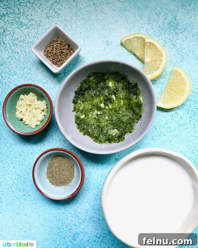 Zesty Vegan Tzatziki Dip 6 vegan tzatziki ingredients