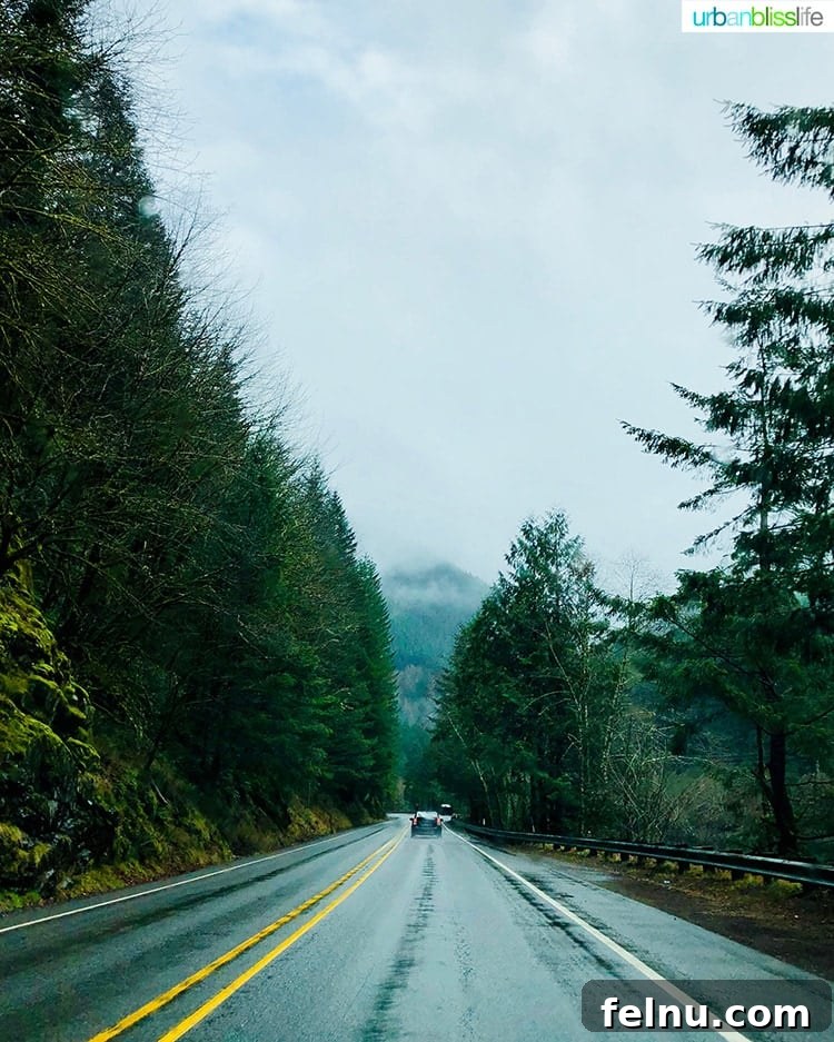 50 On-the-Go Snacks Kids and the Whole Family Adores 2 Scenic rainy road trip through the Pacific Northwest