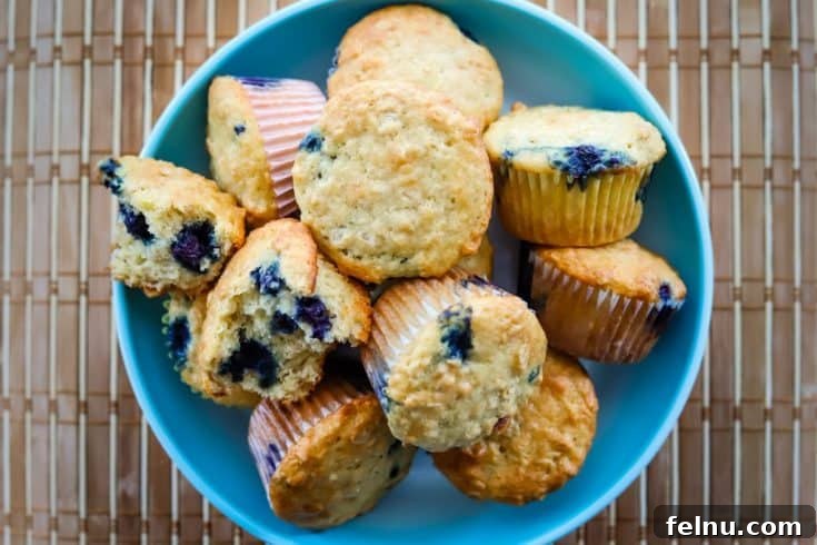 Quick Easy Blueberry Oatmeal Muffins