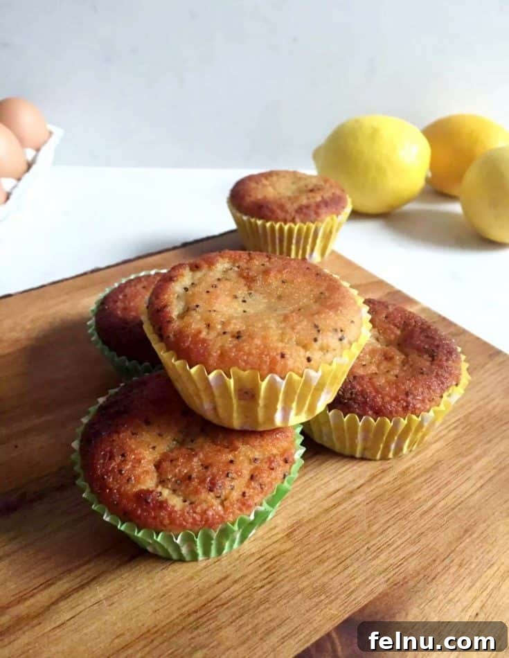 Lemon & Poppy Seed Muffins