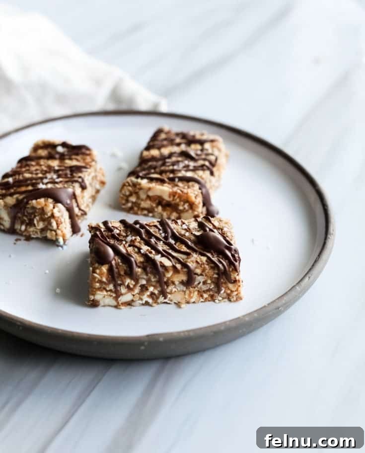 No Bake Salted Caramel Omega Bars [Gluten-free]