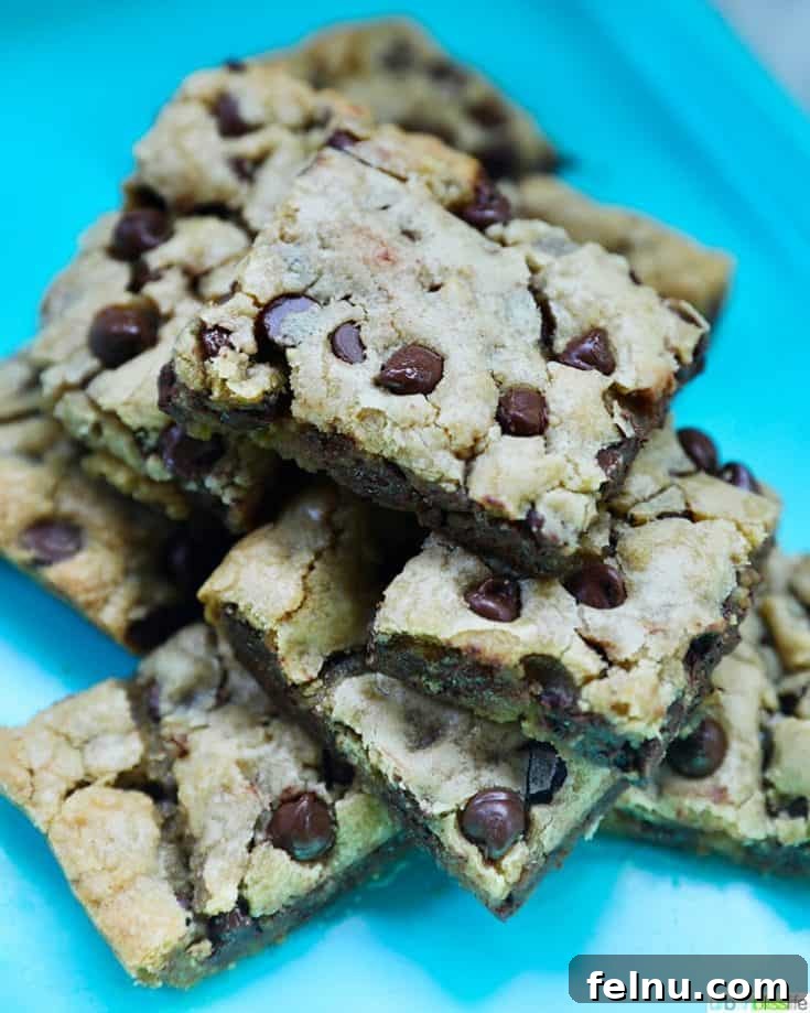 Chewy Chocolate Chip Bars