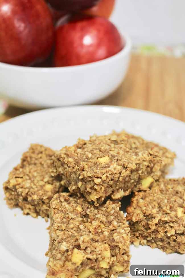 Chewy Apple Granola Bars for travel