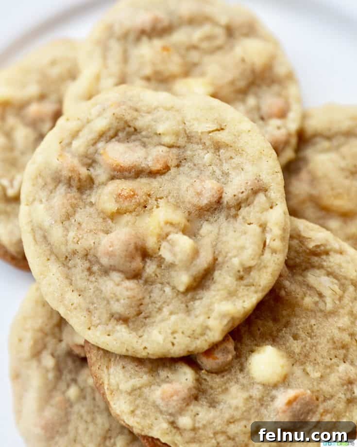 Butterscotch Cookies with oats