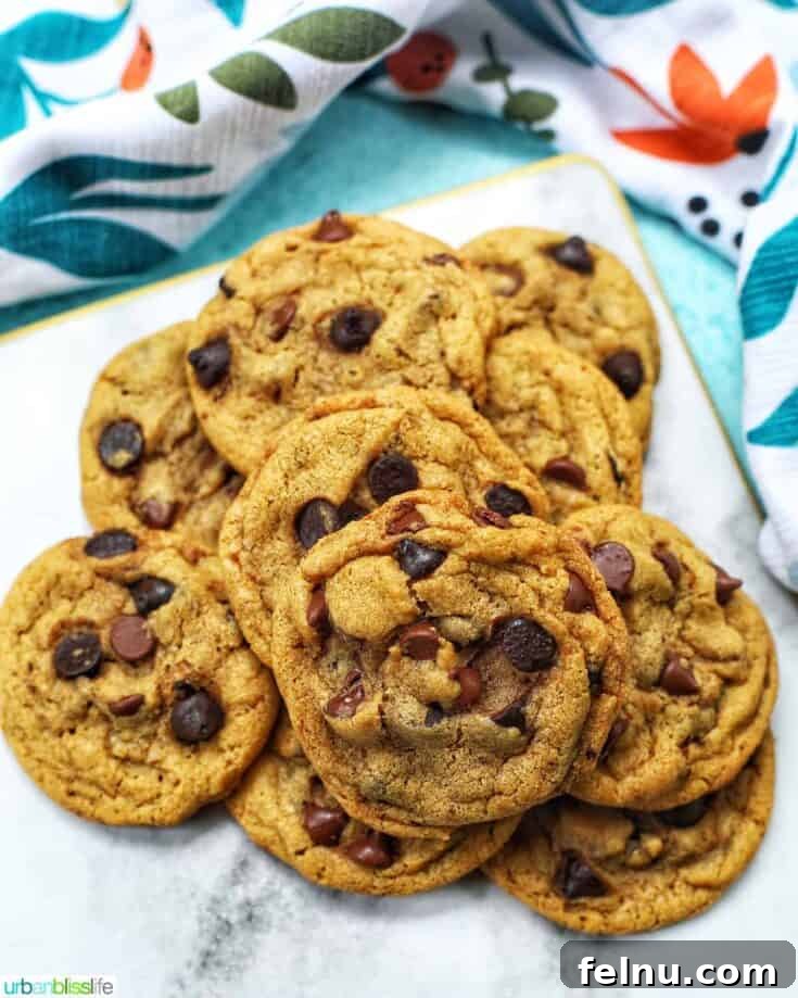 Chocolate Chip Espresso Cookies with Brown Butter
