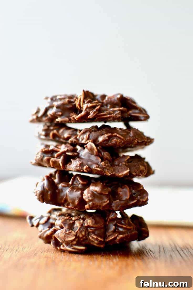 Incredibly Easy No Bake Chocolate Cookies